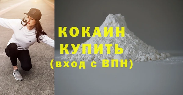 скорость Ельня