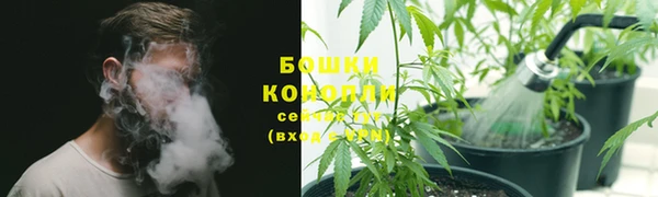 мдма Елизово