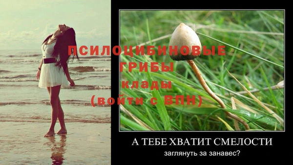 герыч Елабуга