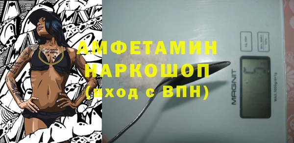 скорость Ельня