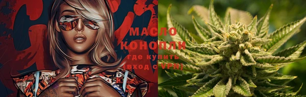 скорость Ельня