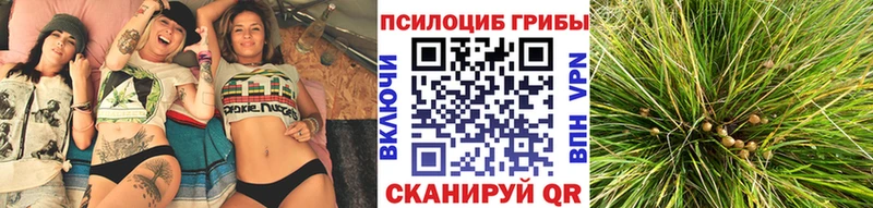 Псилоцибиновые грибы Psilocybe  наркошоп  Закаменск 